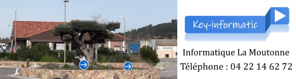 Dépannage informatique la Moutonne